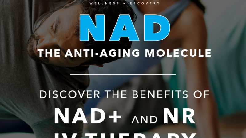NAD, the Anti-Aging Molecule, connects energy, aging, and repair at the cellular level